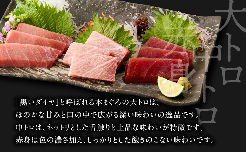 【高島屋バイヤーセレクション】三崎港直送 天然本まぐろ　M038-003