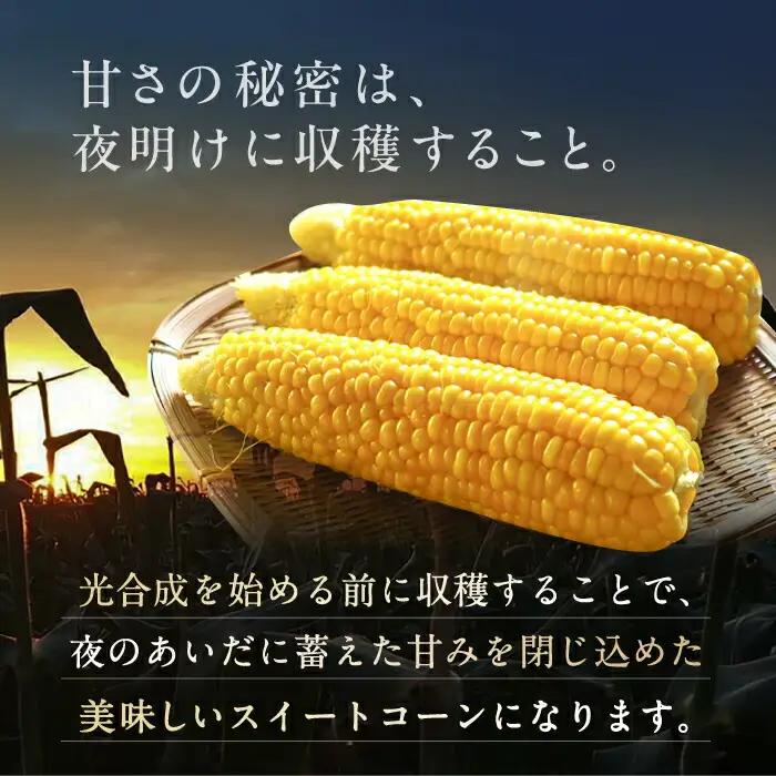 【先行予約】夜明けのスイートコーン 4kg×1箱 7-10本 [VCO001] コーン とうもろこし