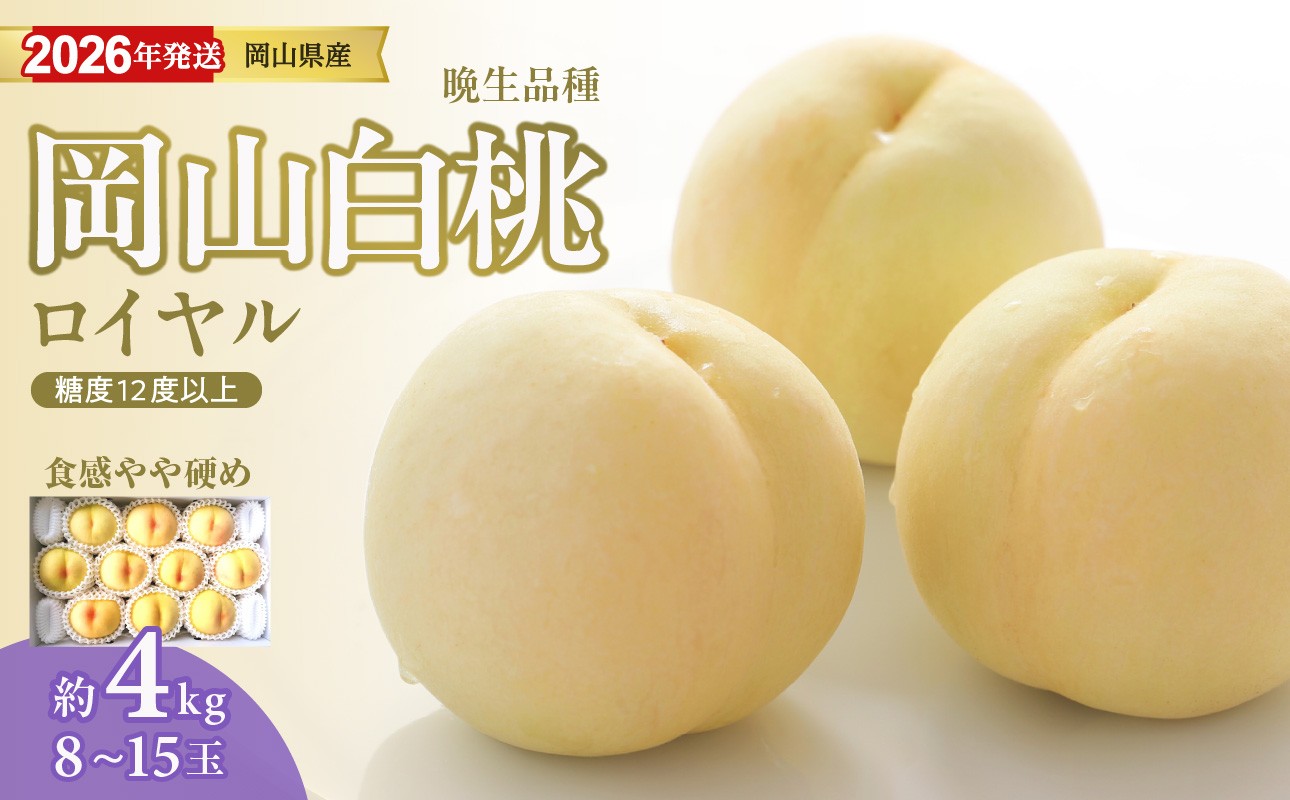 
                  【2026年発送分 先行受付スタート！】岡山県産 白桃（晩生種） 最高ランク！「ロイヤル」約4kg（ 8～15玉）（令和8年8月以降発送）【 白桃ロイヤル フルーツ 果物 くだもの もも 桃 モモ 岡山県産 】hz-m
                