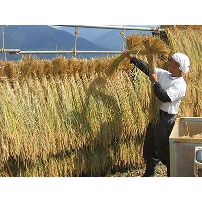 ふるさと納税 南魚沼市 【令和7年産新米予約】南魚沼産笠原農園米栽培期間中農薬不使用天日干しコシヒカリ精米5kg |  | 01