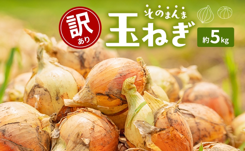 
                  [№4631-2767]訳ありそのまんま玉ねぎ　約5kg
                