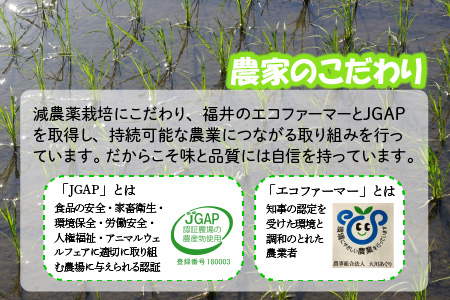 【令和7年産・新米】 おおかわさんちのコシヒカリ玄米 30kg [G-10801]