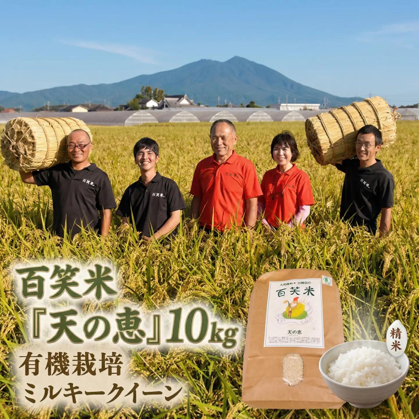 ＼まもなく発送開始／ 精米 百笑米 「 天の恵 」 有機栽培 ミルキークイーン 10kg R8年産 新米 米 コメ 茨城県 単一米