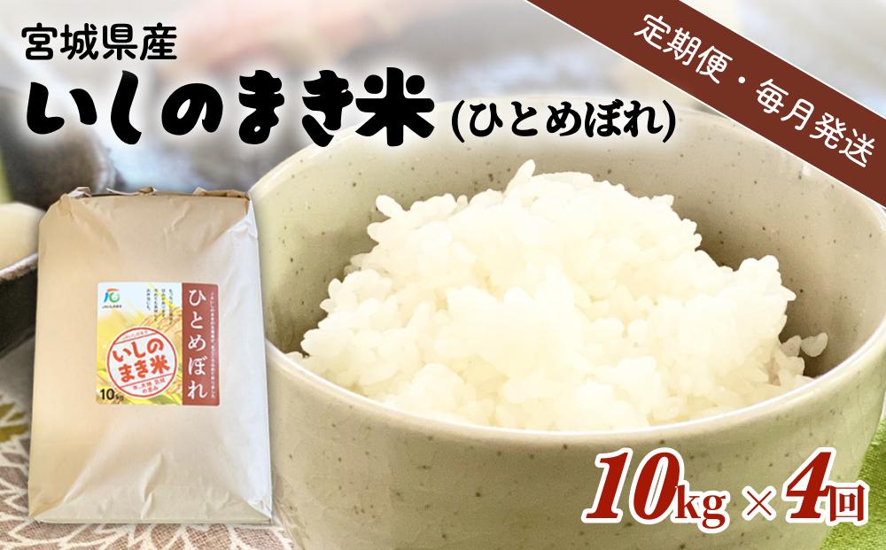 
            米 定期便 【定期便4回・毎月発送】宮城県いしのまき産米「ひとめぼれ」10kg×4回（精米） 石巻市 お米 米 定期便 白米 こめ
          