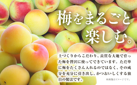 本格梅酒 Pio 飲みきりサイズ：50ml 60本 