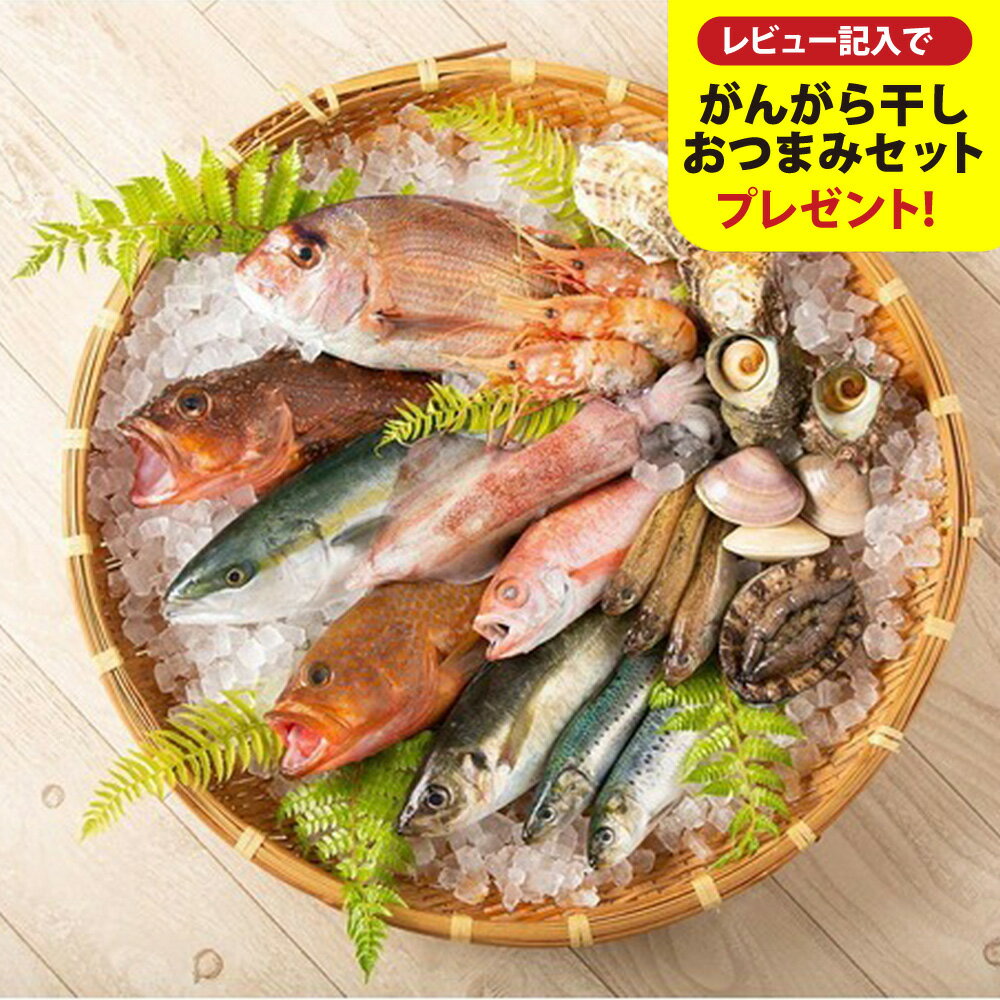 【ふるさと納税】城崎温泉おけしょう鮮魚 季節の海の幸セット 約2人前 / 新鮮 旬の魚 下処理済 鮮魚 魚介 魚 お魚 海の幸 海産物 セット 料理好き 食べ物 お取り寄せ グルメ 食材 おすすめ 兵庫県 豊岡市 城崎温泉 送料無料