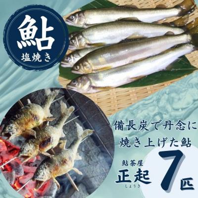 ふるさと納税 宍粟市 鮎の塩焼7匹　AR1