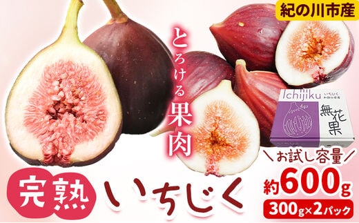 
										
										いちじく 完熟いちじく 約600g ( 300g × 2パック ) お試し パック いちじく イチジク 無花果 紀の里農業協同組合《9月上旬-11月上旬頃出荷》 和歌山県 紀の川市 青果物 果物 くだもの フルーツ スイーツ---wsk_cjak5_ad911_23_6000_600g---
									