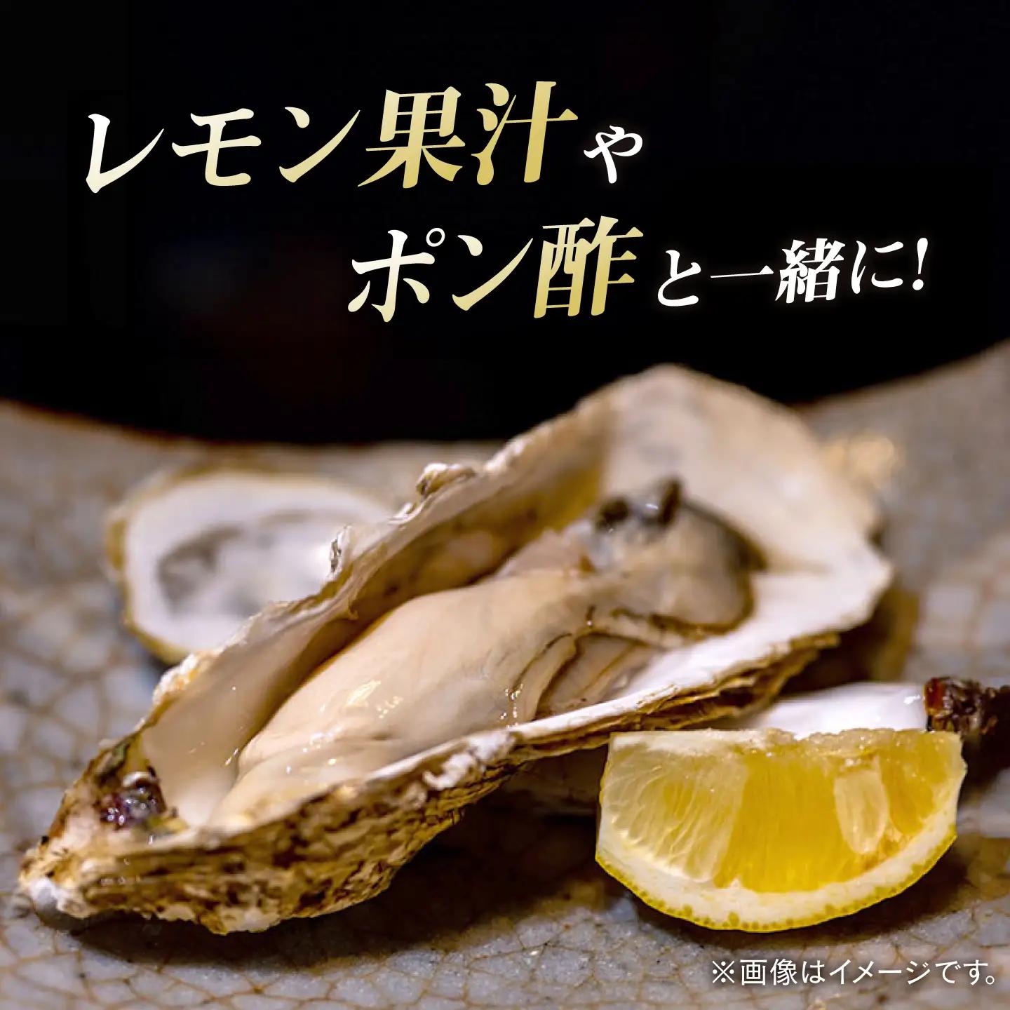 天然 岩ガキ 3kg  [WAD001] 岩がき 牡蠣 海鮮 魚介 牡蠣 かき カキ