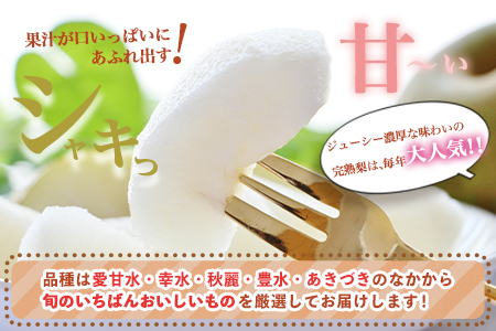 【先行予約】目野果実直売所 荒尾梨 約2-2.5kg(5～10玉前後)  期間限定 熊本県 荒尾市産 なし フルーツ 果物 新鮮 《7月下旬-10月上旬頃出荷》 美味しい梨 旬の梨 ジューシー梨 フル