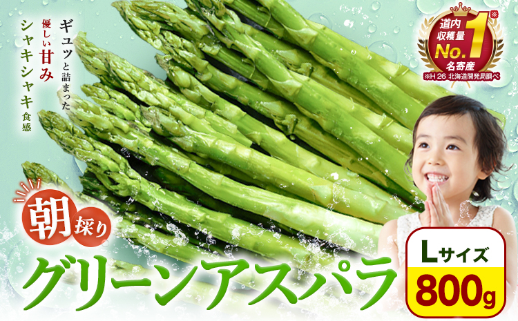 【先行予約】朝採りアスパラガス Lサイズ(800g) 《2026年5月中旬-5月下旬頃出荷予定》北海道 名寄市 送料無料 朝採り 新鮮 アスパラ---nayoro_loc_9_1.2kg---