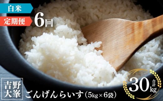 【新米予約】【定期便】ひのひかり 奈良のお米のお届け便　5kg×半年分 （6回）｜ごんげんらいす 白米 米 精米 ヒノヒカリ ごはん 奈良県産 吉野町 令和6年 新米 先行予約 令和6年産