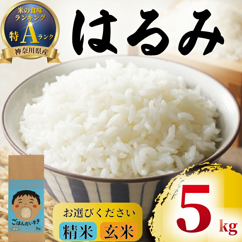 【ふるさと納税】 先行予約 特Aランク 米 精米 玄米 はるみ 5kg 順次発送 選べる 玄米 こめ 令和7年度産 甘い ツヤ キヌヒカリ コシヒカリ こしひかり kome ※ お米 白米 ブランド米 農家直送 数量限定 産地直送 西山農園 神奈川 湘南 藤沢