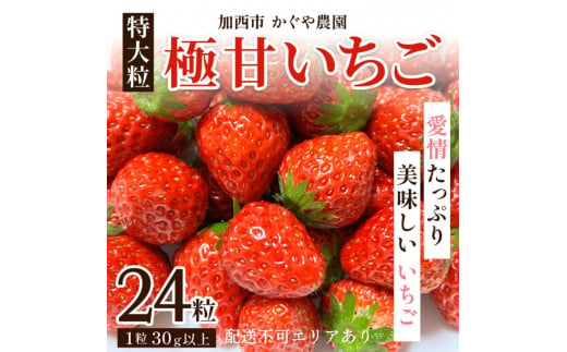 
かぐや農園の極甘 いちご 特大粒 24粒
