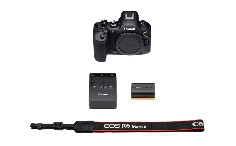 キヤノン EOS R6 Mark 2 ボディー ミラーレス一眼カメラ Canon