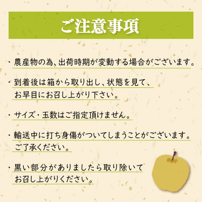 9月中旬より順次発送予定！【長野県高森町】青梨の銘品!! 二十世紀梨 5kg 州 南信州 産地直送 果物 くだもの なし ナシ 和梨 旬 旬の果物 旬の梨 株式会社マツザワ