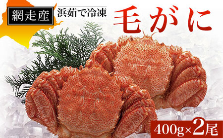 網走産 浜茹で冷凍毛がに400g×2尾 【 ふるさと納税 人気 おすすめ ランキング 毛蟹 毛ガニ 毛がに かに味噌 カニみそ 冷凍 北海道 網走市 送料無料 】 ABD001