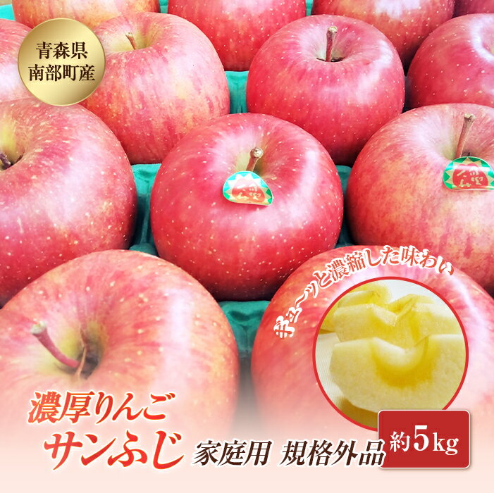 【ふるさと納税】 【訳あり】 青森県南部町産 濃厚りんご サンふじ （規格外品） 約5kg 【アグリーデザイン】 青森りんご リンゴ アップル 林檎 青森県 南部町 果物 くだもの フルーツ 家庭用 わけあり ワケアリ 規格外 F21U-040
