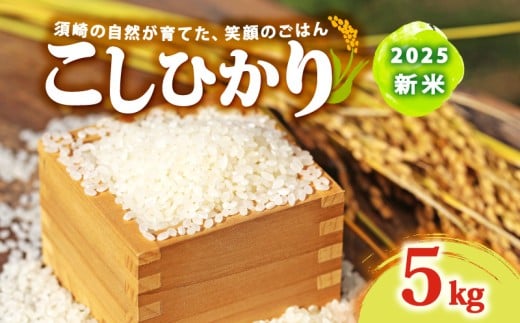 2025 新米 コシヒカリ 5kg 産地直送 新米 8月下旬 から 順次配送 高知県産 白米 精米 こしひかり 米 常温 配送 ブランド米 国産 米 人気 匠 高知県 須崎 SDM001