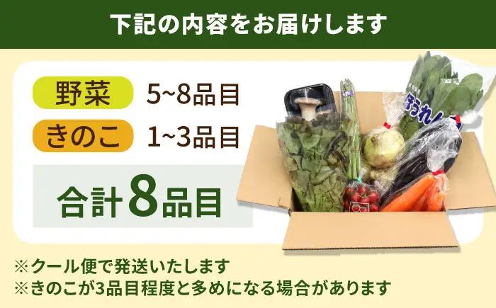 お試し 野菜セット 8品目 [SCZ027]