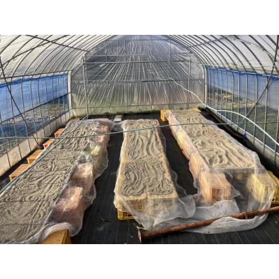 ふるさと納税 売木村 【栽培期間中農薬不使用・圧縮生絞り】新鮮えごま油　110g×3本(手作り　南信州 売木村産) |  | 03