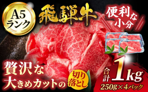 ＜ボリューム満点！＞ 飛騨牛 A5ランク 切り落とし 1kg (250g×4)【有限会社マルゴー】国産牛 和牛 霜降り [MBE003]