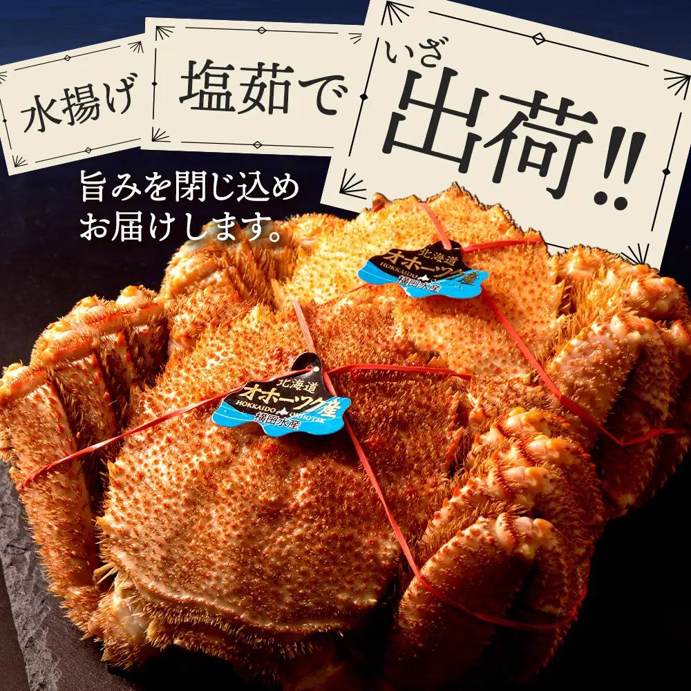 ☆北海道産 毛ガニ 約550g×1尾
