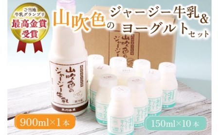 山吹色のジャージー牛乳・ヨーグルトセット 黒川温泉 山吹色のジャージー牛乳 飲むヨーグルト 2種 11本 ジャージー牛乳 900ml のむヨーグルト 150ml 詰め合わせ アソート セット 乳製品 飲料 健康 腸活 免疫力アップ 乳酸菌 ご当地牛乳グランプリ ご当地 ギフト 贈答用 山のいぶき 熊本 阿蘇 南小国町 送料無料 [B4-1102]