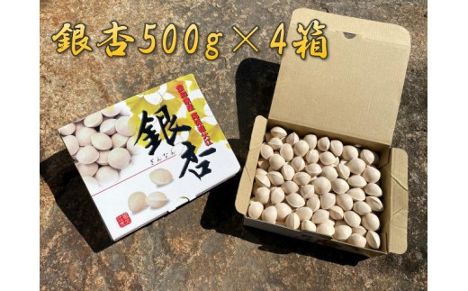 
            銀杏 祖父江のぎんなん 2kg ( 500g × 4箱 ) 大粒 光田農園
          