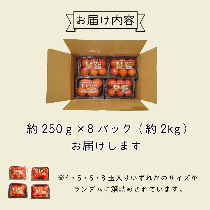 【先行予約】2025年4月発送 ももりこトマト 約2kg(約250g×8パック)　フルーツ トマト 糖度8以上 徳島 甘い 野菜 人気 おすすめ  産地 直送 ふるさと納税 野菜 ヘルシー 健康 小分