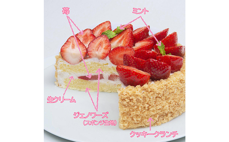 エクラン・ビジュー「苺のケーキ」