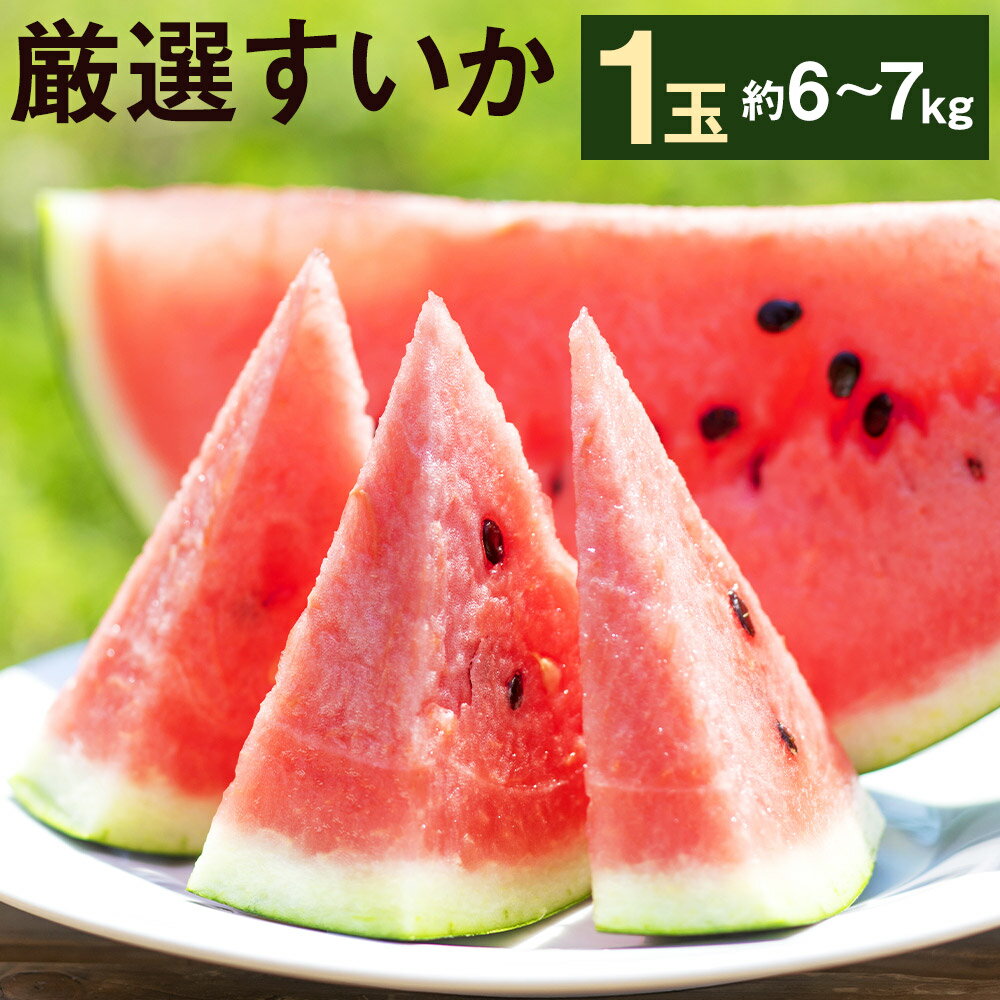 【ふるさと納税】厳選 すいか 1玉 約6〜7kg 【メロンドーム】 品種おまかせ ランダム 果物 フルーツ スイカ 西瓜 九州産 熊本県産 送料無料【2026年5月中旬より順次発送予定】【先行予約】