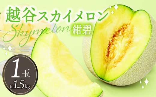 メロン めろん スカイメロン すかいめろん メロン めろん スカイメロン すかいめろん メロン めろん スカイメロン メロン