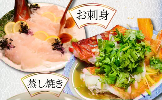 KU014 <2026年7月より順次発送>宮崎県串間産アカハタ(計約1kg・2~4匹)延縄漁による朝どれ高級魚を漁師直送!【合同会社Houryoumaru】