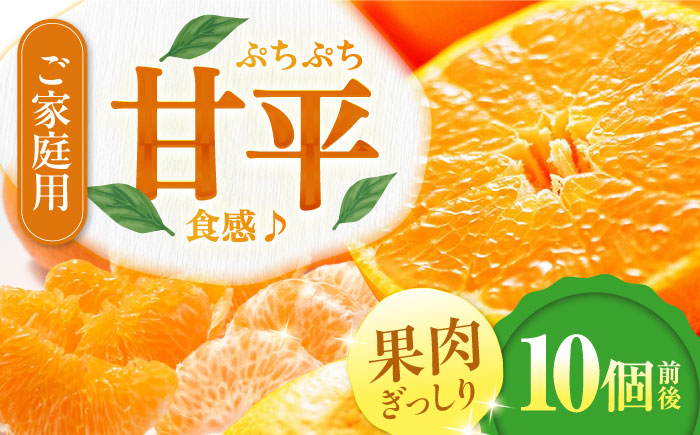 【先行予約】【2026年2月中旬から順次発送】甘平 10個前後【ご家庭用】  愛媛県大洲市/西村農園 みかん ミカン えひめ かんぺい 柑橘 [AGDC004]