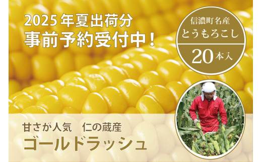 仁の蔵『ゴールドラッシュ 20本』 2025年夏出荷分 先行予約開始！ 信濃町産トウモロコシ／スイートコーンの人気品種の予約受付中！ 令和7年7月下旬〜出荷予定【長野県信濃町ふるさと納税】