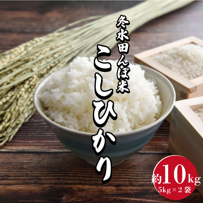 V-14 【令和5年度産】冬水田んぼ米 コシヒカリ10kg