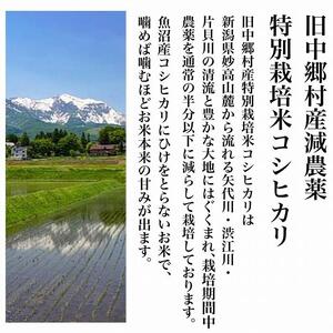 【12か月定期便】】新潟県旧中郷村減農薬特別栽培米コシヒカリ 5kg（5kg×1袋）