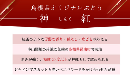 島根県限定！幻のぶどう　”神紅（しんく）” 1房　500ｇ 