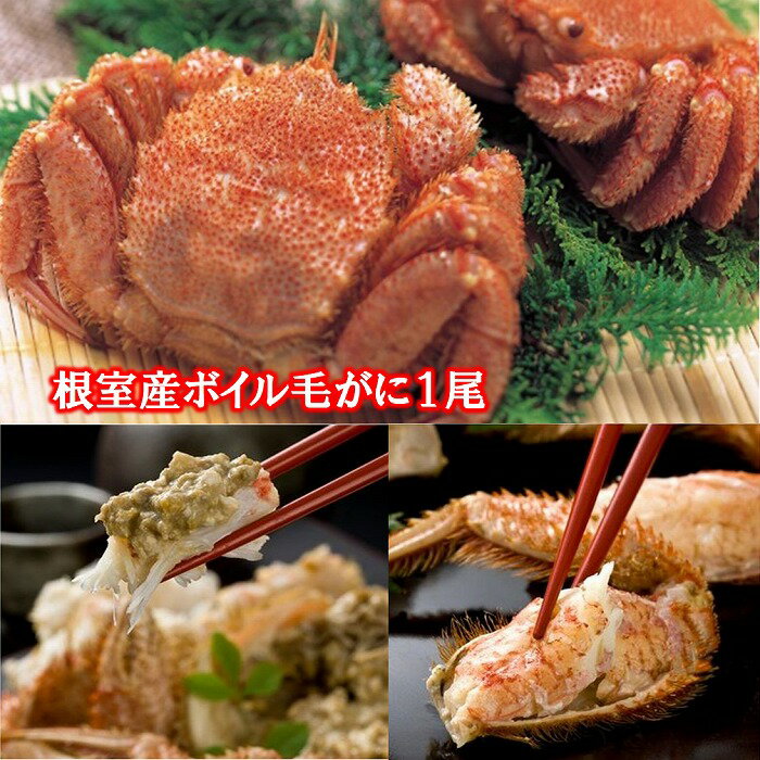 【ふるさと納税】[北海道根室産]ボイル毛がに 選べる1尾〜7尾 ケガニ 蟹 かに 北海道 根室市