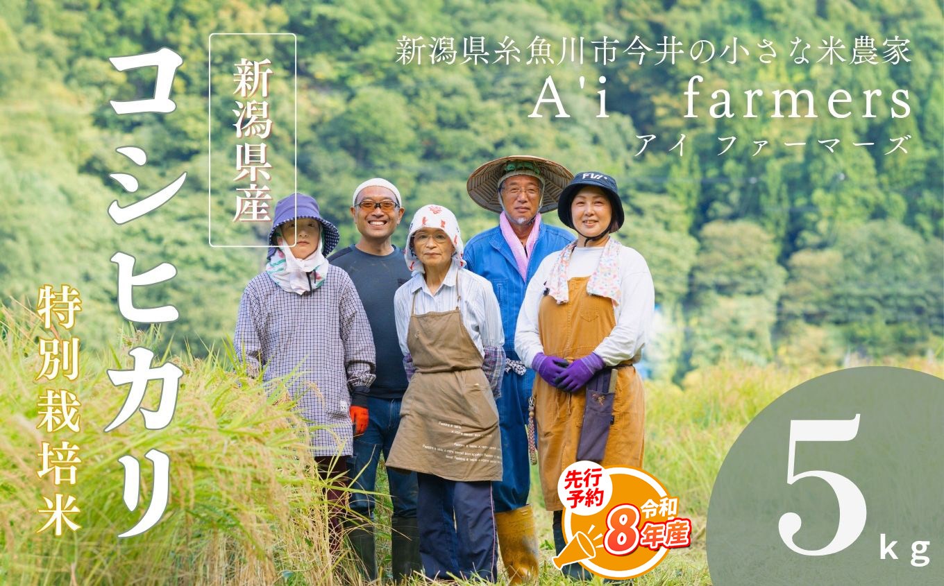 
                  【令和8年産】先行予約 米 コシヒカリ 10kg 新潟県 糸魚川市産 減農薬 減化学肥料米 BL米 安心 安全 美味しいお米 新潟米 今井産 アイファーマーズ 今摺り米 精米 白米【こしひかり おにぎり お弁当 におすすめ お米 おこめ コメ ご飯 ライス ふるさと納税米 ブランド米 2026年 10キロ】
                