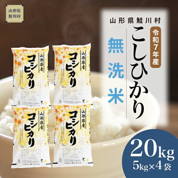 【ふるさと納税】＜令和7年産米＞ 鮭川村 コシヒカリ 【無洗米】 20kg （5kg×4袋）＜配送時期選べます＞