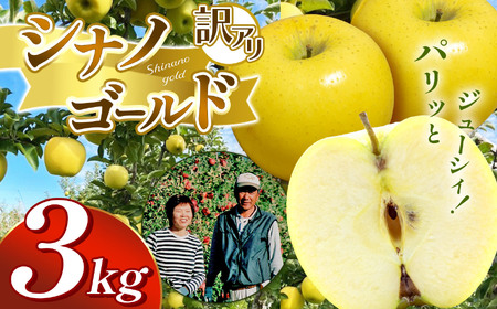 【先行受付】訳アリ　シナノゴールド　3kg（9～12玉）