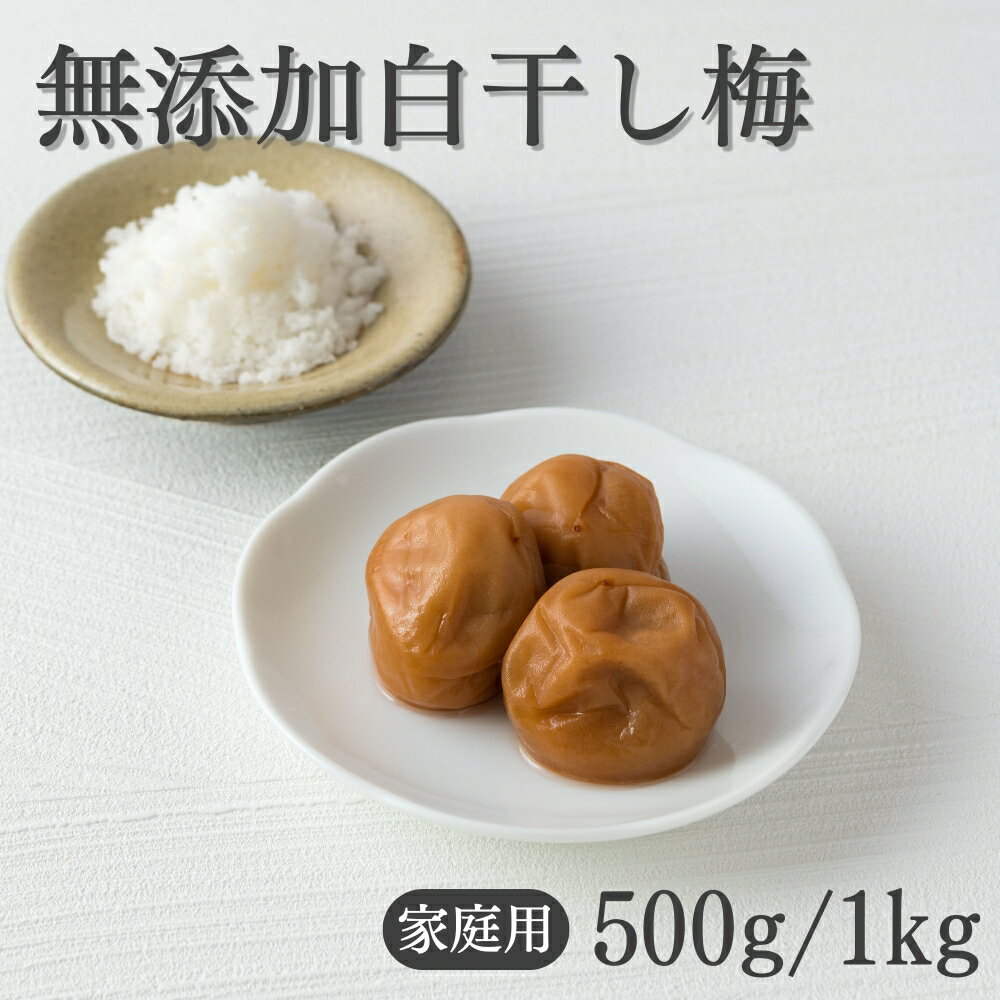 【ふるさと納税】 ご家庭用梅干し　無添加白干し梅　500g・1kg / みなべ町 梅干 うめぼし ウメ 白干し梅 白梅 家庭用 紀州南高梅 南高梅 簡易包装 お弁当 おにぎり