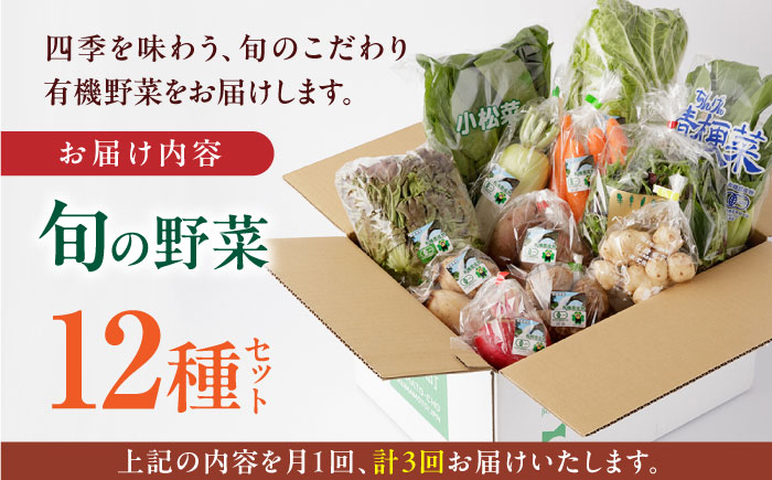 【全3回定期便】四季を味わう野菜セット 熊本県産有機野菜 山都町産有機野菜 産地直送 高原野菜 新鮮有機野菜 採れたて有機野菜 旬 有機野菜セット 有機野菜食べ比べ 九州産有機野菜 有機野菜 オーガニ