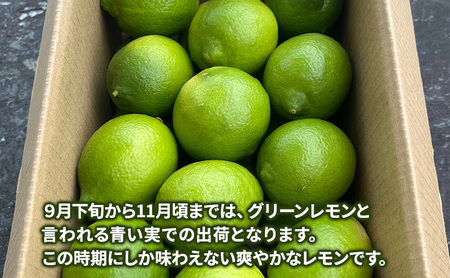 淡路島アレンユーレカレモン2kg 檸檬 れもん 兵庫県 洲本市 淡路島
