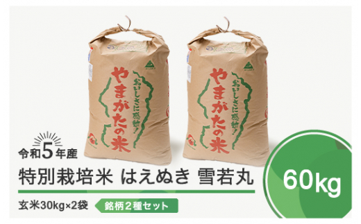 
令和5年産 米 はえぬき 雪若丸 各30kg 計60kg 大石田町産特別栽培米 玄米
