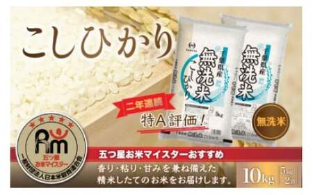 令和7年産 2年連続特A評価!千葉県産コシヒカリ10kg無洗米（5kg×2袋） E025