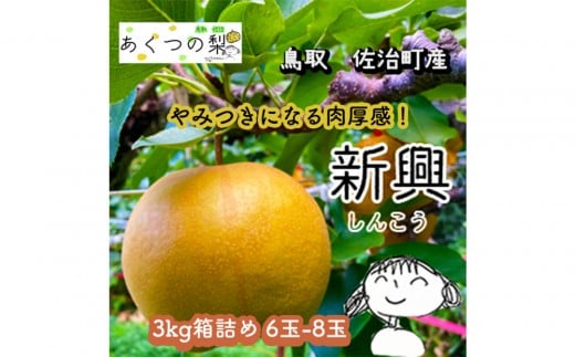 新興梨 3kg箱詰め(鳥取県佐治町産) [あくつの梨]