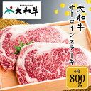 【ふるさと納税】（冷凍） 大和牛 ステーキ サーロイン (200g×4枚) ／ 金井畜産 焼肉 キャンプ バーベキュー アウトドア 贈答 父の日 母の日 奈良県 宇陀市 お中元 贈答用 贈り物 暑中見舞い お土産